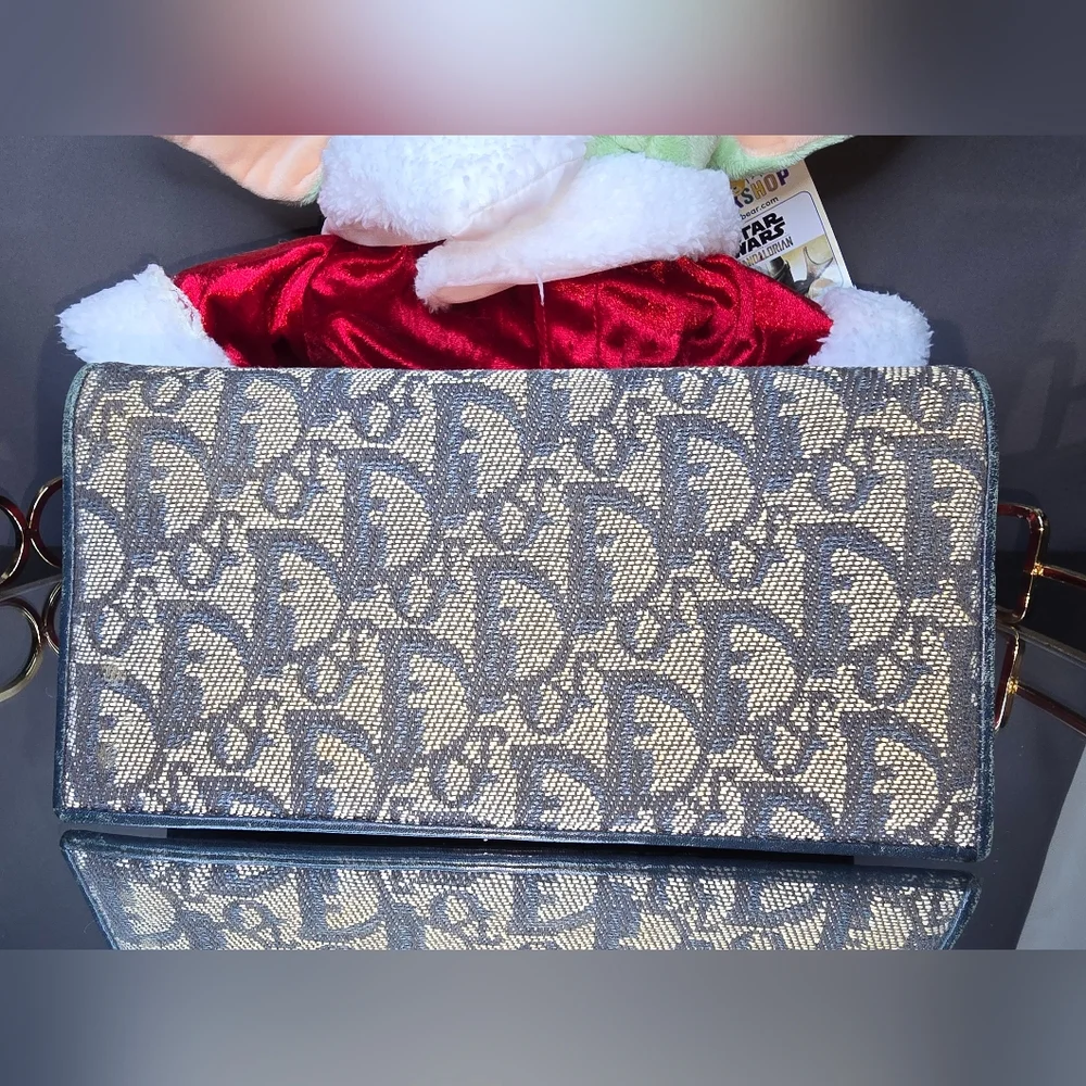 Designer Blue and Tan Women's Bag